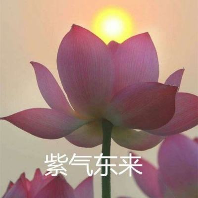 超神三国百度版下载